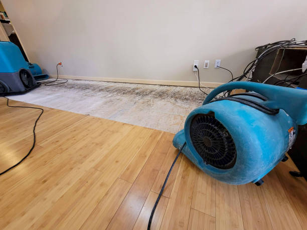 Professional Water Damage Repair technician working in Henning, TN